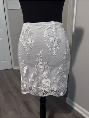 White Embroidered Mesh Mini Skirt Fairy Coquette Lace Overlay